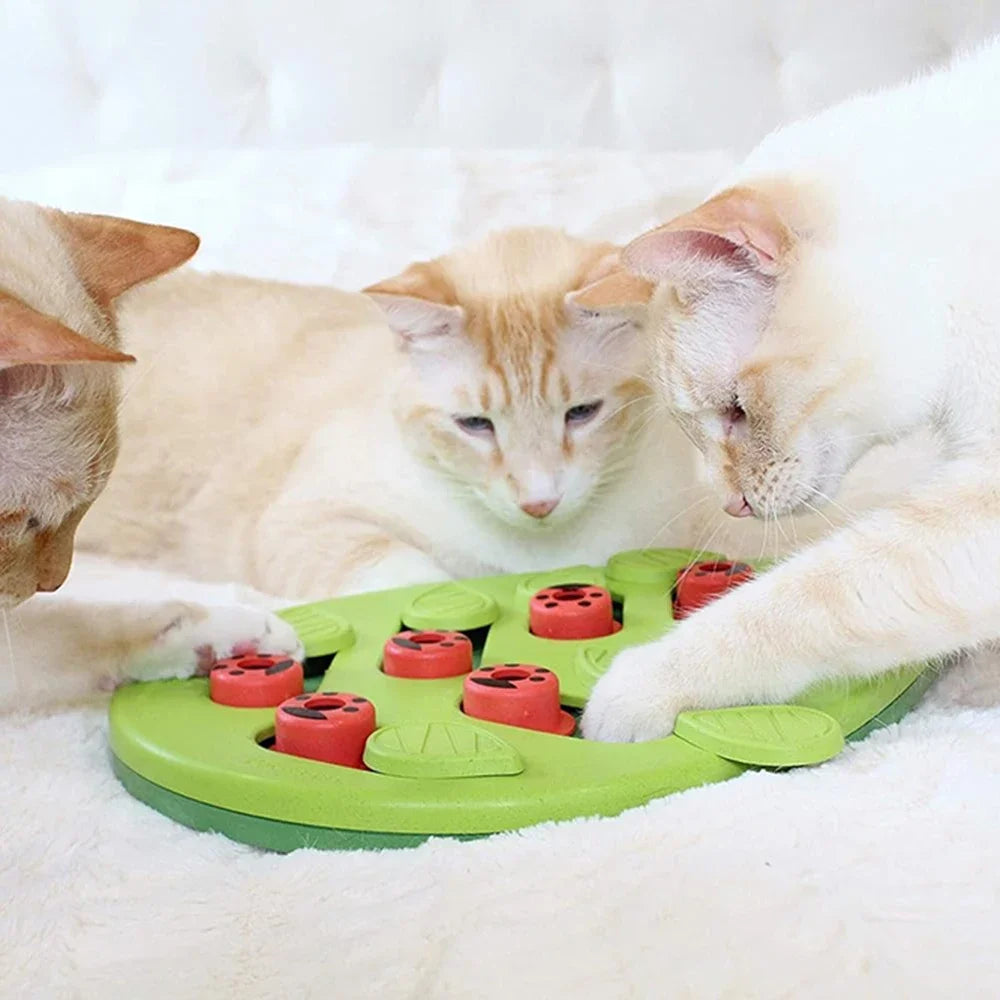 Interactieve kattenpuzzel – Stimuleer jacht en speelplezier