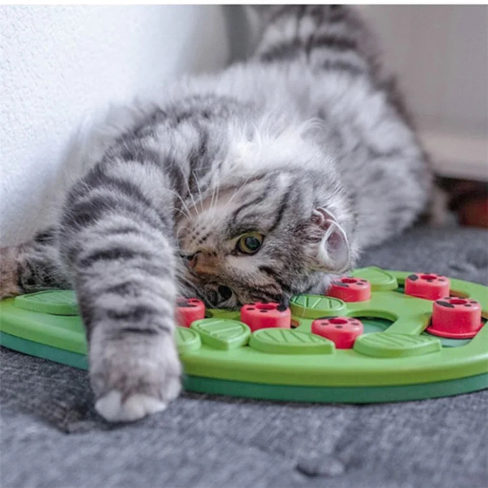 Interactieve kattenpuzzel – Stimuleer jacht en speelplezier