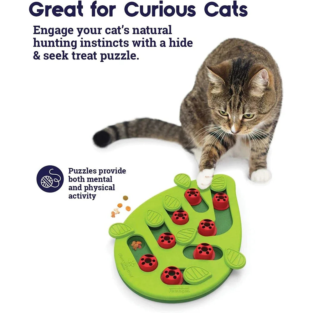 Interactieve kattenpuzzel – Stimuleer jacht en speelplezier