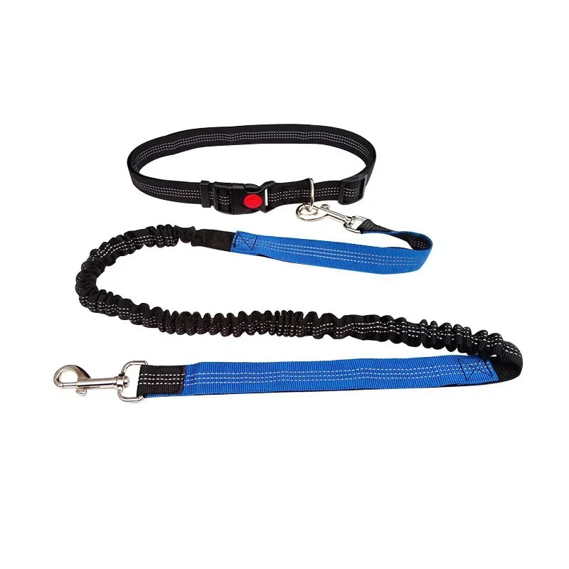 Jog & Go hondenriem – Perfect voor actieve baasjes