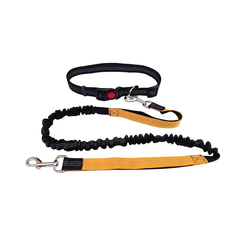 Jog & Go hondenriem – Perfect voor actieve baasjes