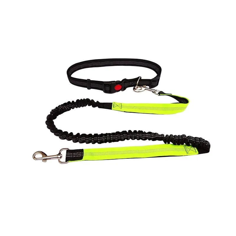 Jog & Go hondenriem – Perfect voor actieve baasjes