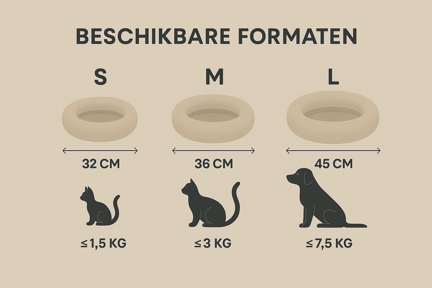 Beschikbare formaten infographic