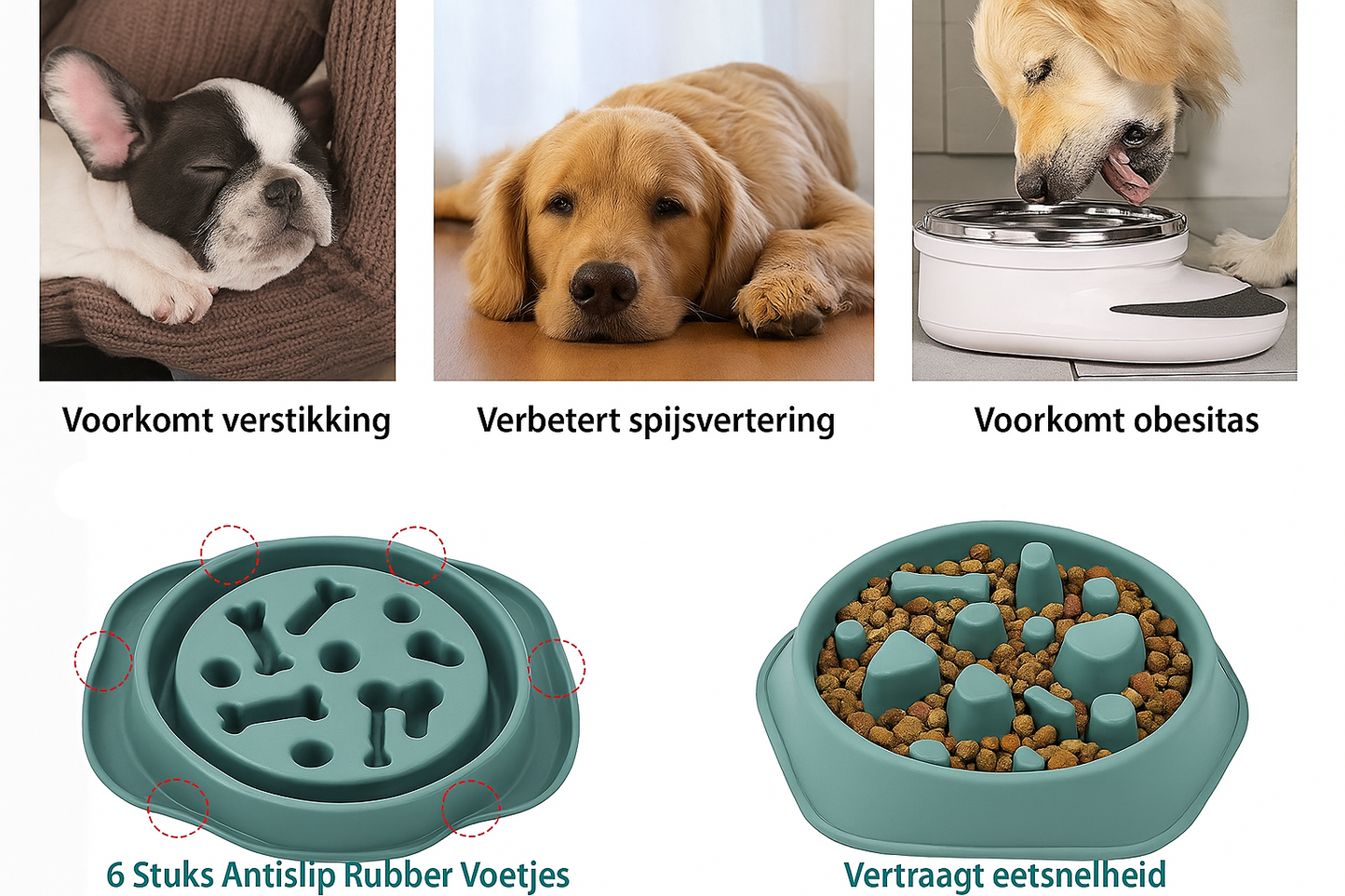 Nederlandse slowfeeder voordelen