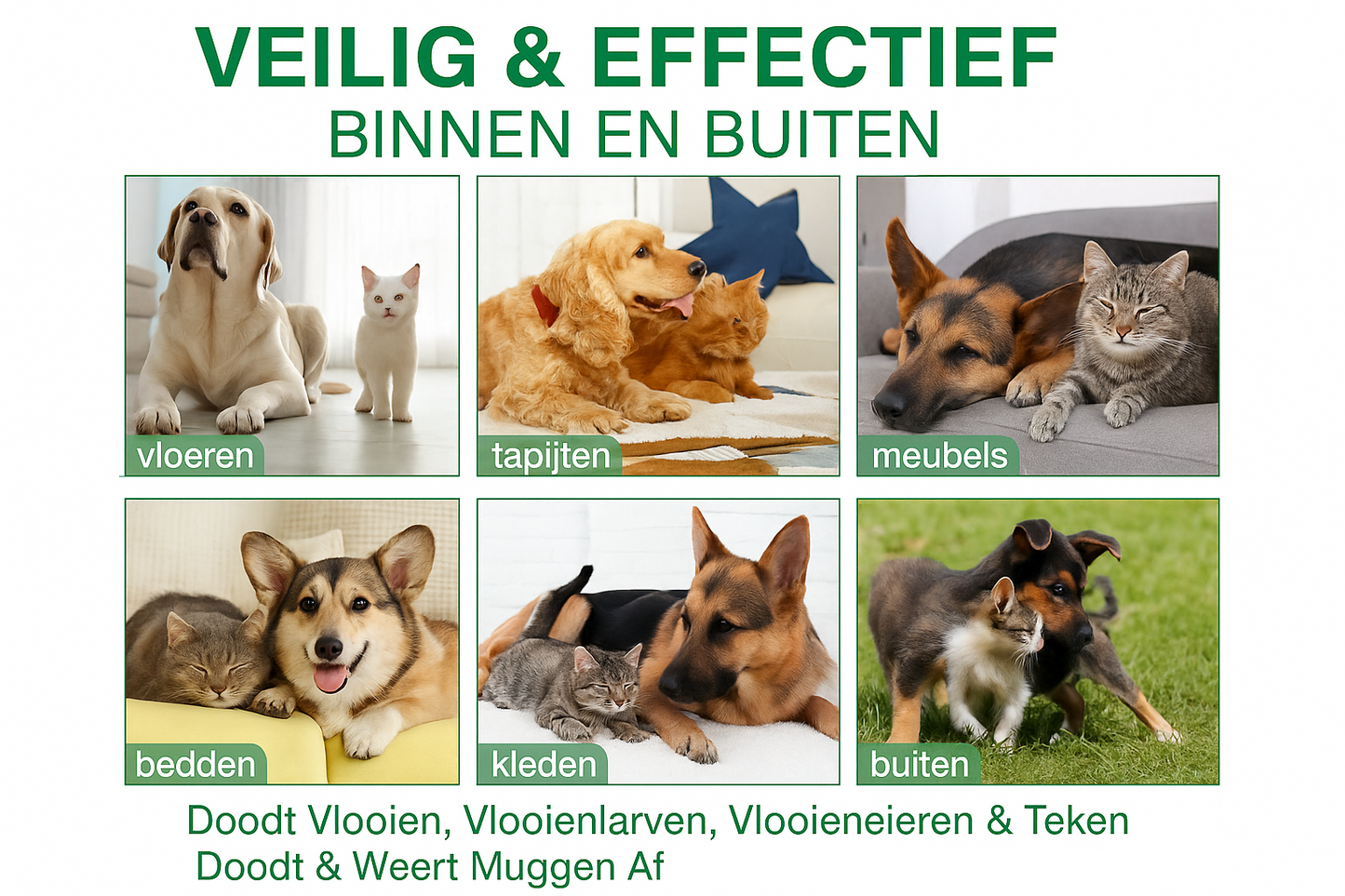 Veilig en effectief binnen en buiten