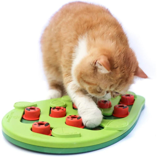 Interactieve kattenpuzzel – Stimuleer jacht en speelplezier