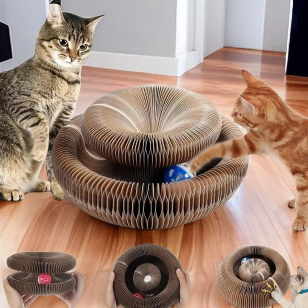 Magic kattenkrabspeelgoed met bal – Krab- & speelbord voor katten en kittens