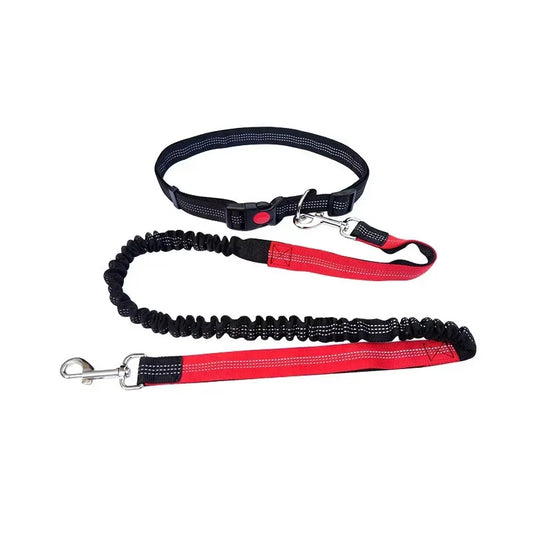 Jog & Go hondenriem – Perfect voor actieve baasjes