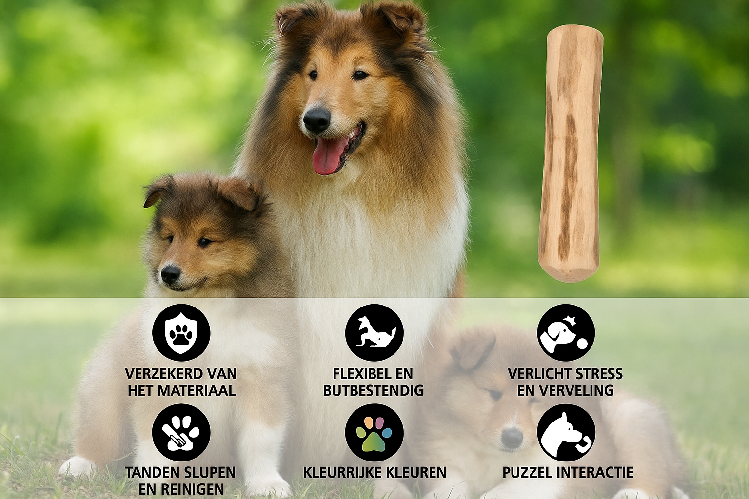 Afbeelding 4 - Nederlands