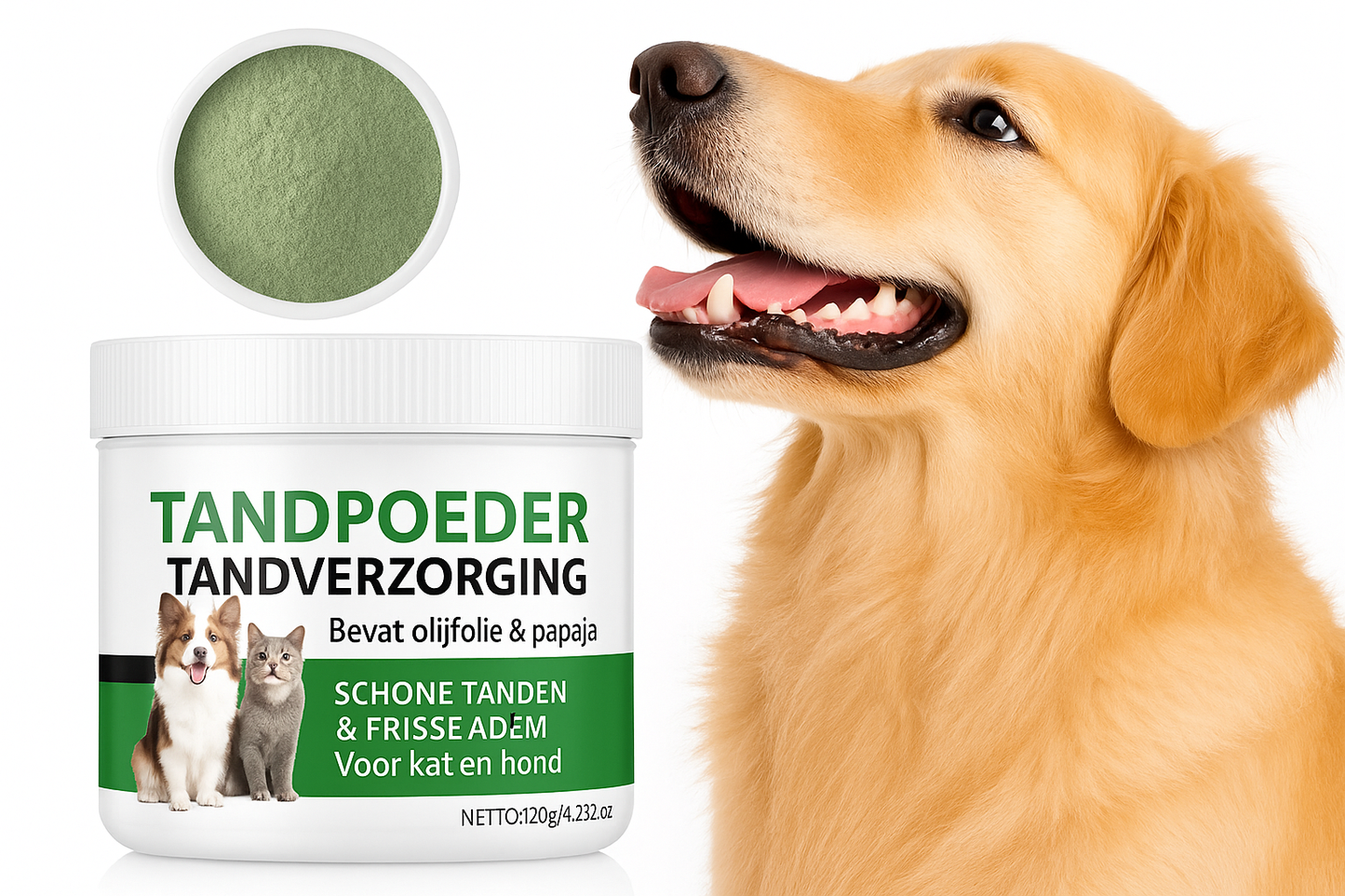 Nederlandse tandpoeder met golden retriever