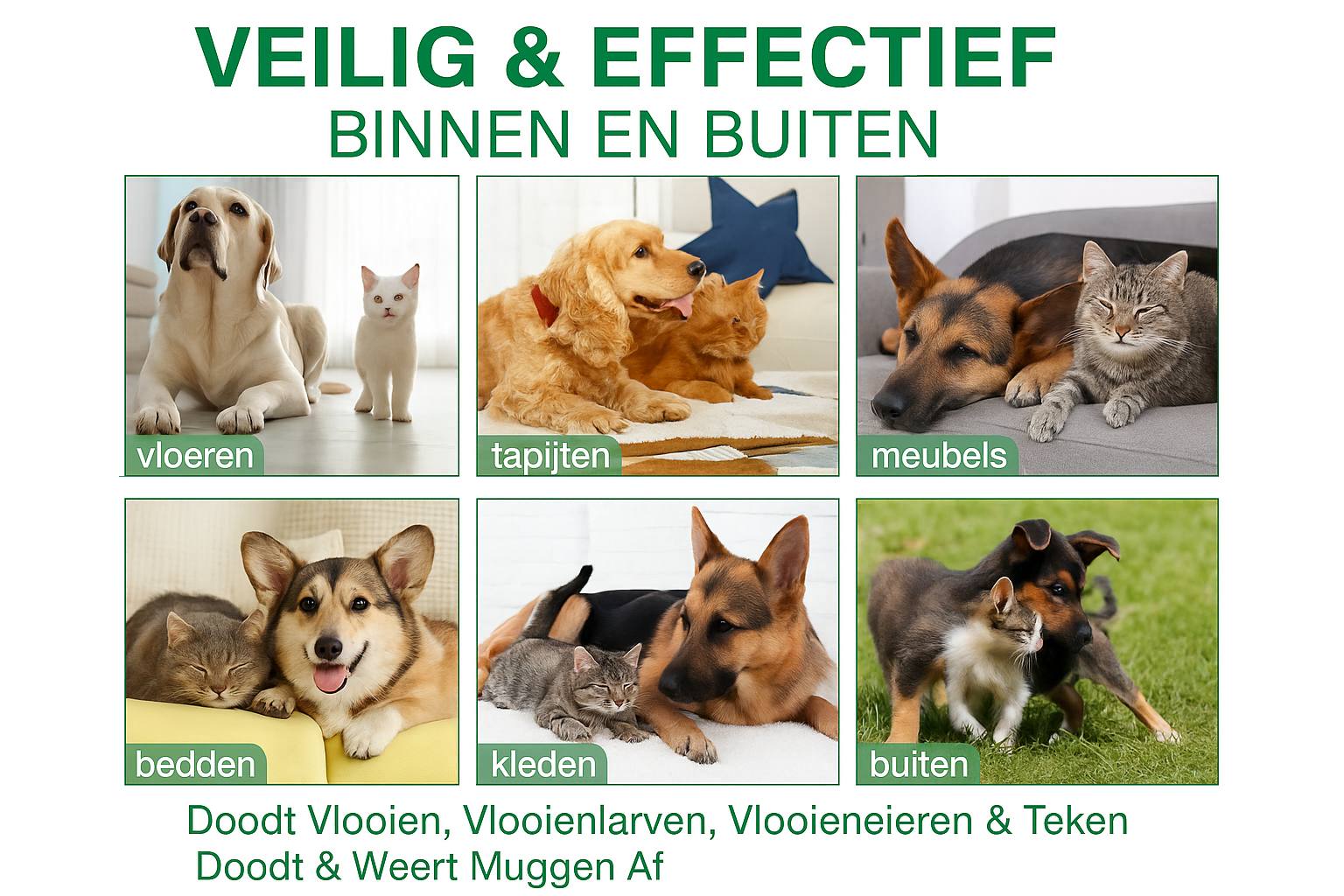 Veilig en effectief binnen en buiten