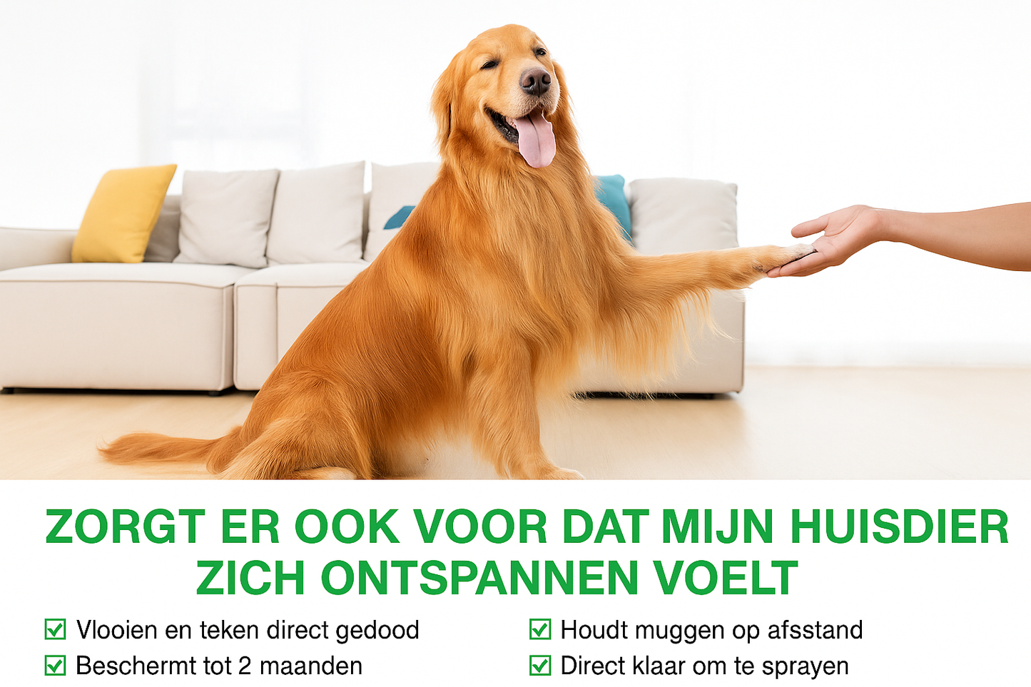 Zorgt er ook voor dat mijn huisdier zich ontspannen voelt